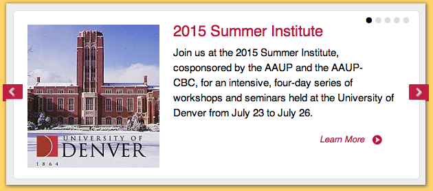 AAUP Summer Institute 2015