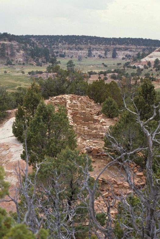 Pettit Site, Togeye Canyon, NM