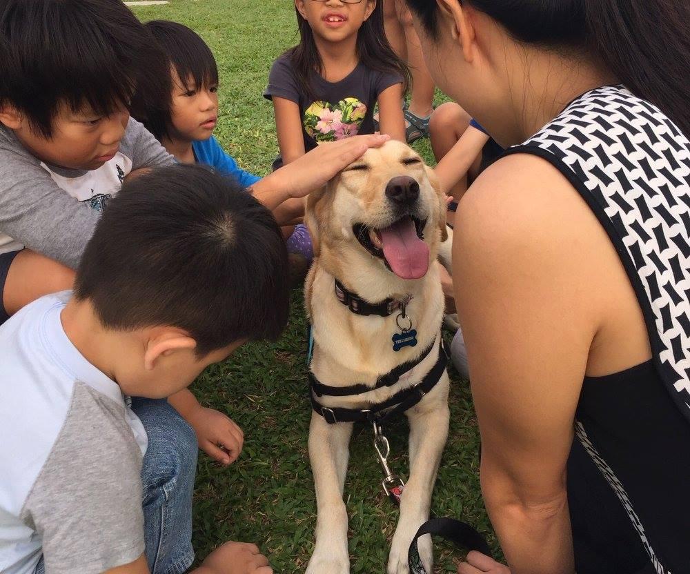 A dog is being pet by children and a handler