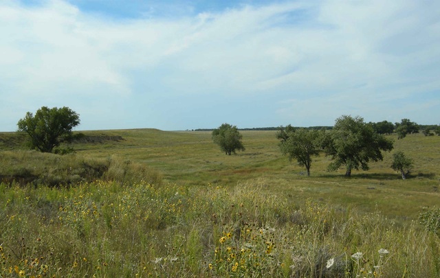 Sand Creek Field (Wikipedia)